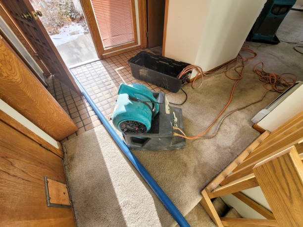 Best Basement water damage restoration  in Blauvelt, NY