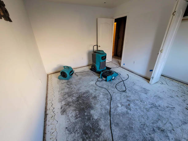 Best Flood damage cleanup  in Blauvelt, NY