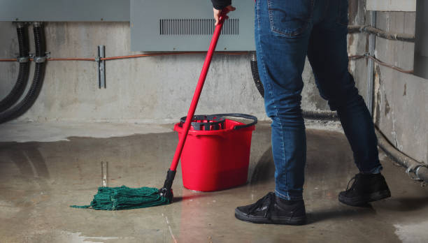 Best Residential water damage restoration  in Blauvelt, NY