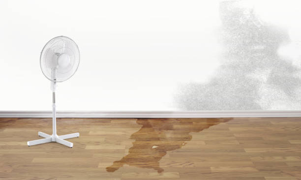 Best Water damage repair service  in Blauvelt, NY