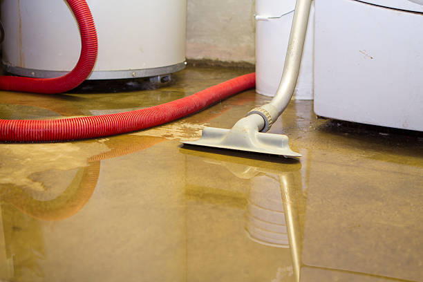  Blauvelt, NY Water damage restoration Pros