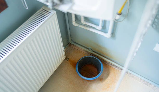 Best Ceiling water damage repair  in Blauvelt, NY