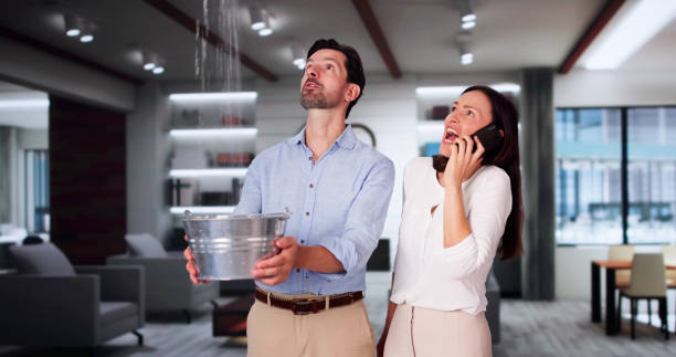 Best Carpet water damage restoration  in Blauvelt, NY